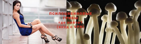 a pvp Балабаново