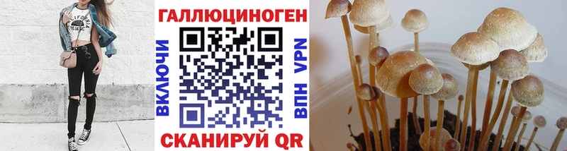 Псилоцибиновые грибы Psilocybine cubensis  сайты даркнета наркотические препараты  Гвардейск 